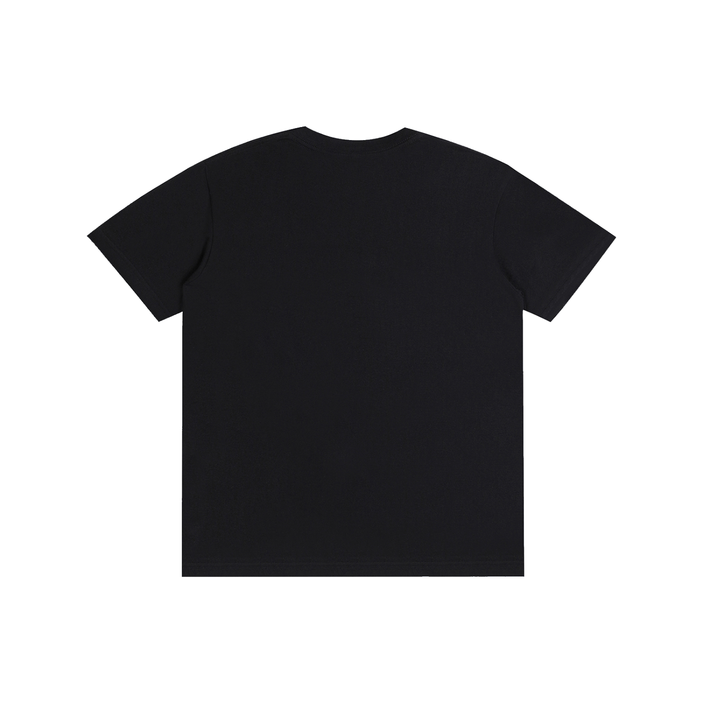 Albanian T shirt