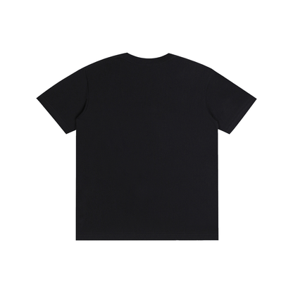 Albanian T shirt
