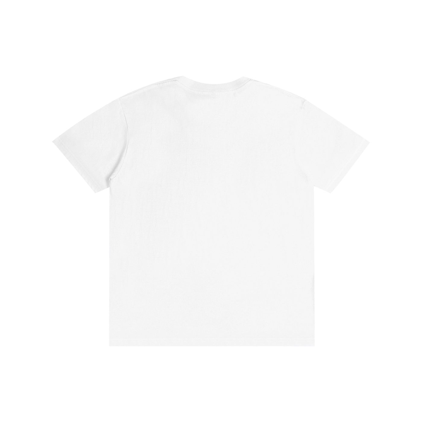 Albanian T shirt